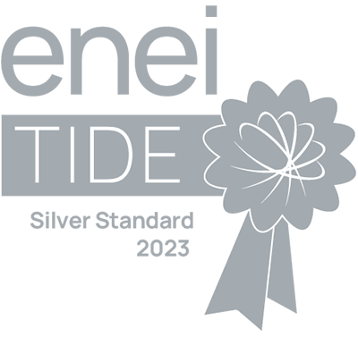 Silver Talent Inclusion and Diversity Evaluation (TIDE) Mark